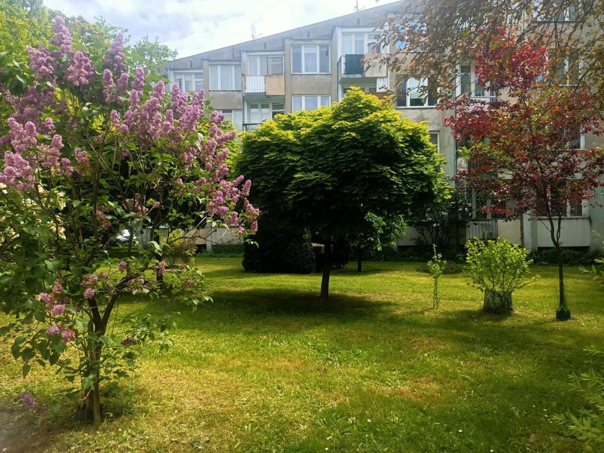 Przytulny Dwuosobowy Apartament Jaworowa Wrocław Eksteriør billede